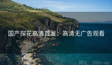 国产探花高清首发：高清无广告观看