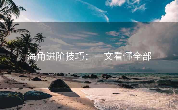 海角进阶技巧:一文看懂全部 海角进阶技巧:一文看懂全部